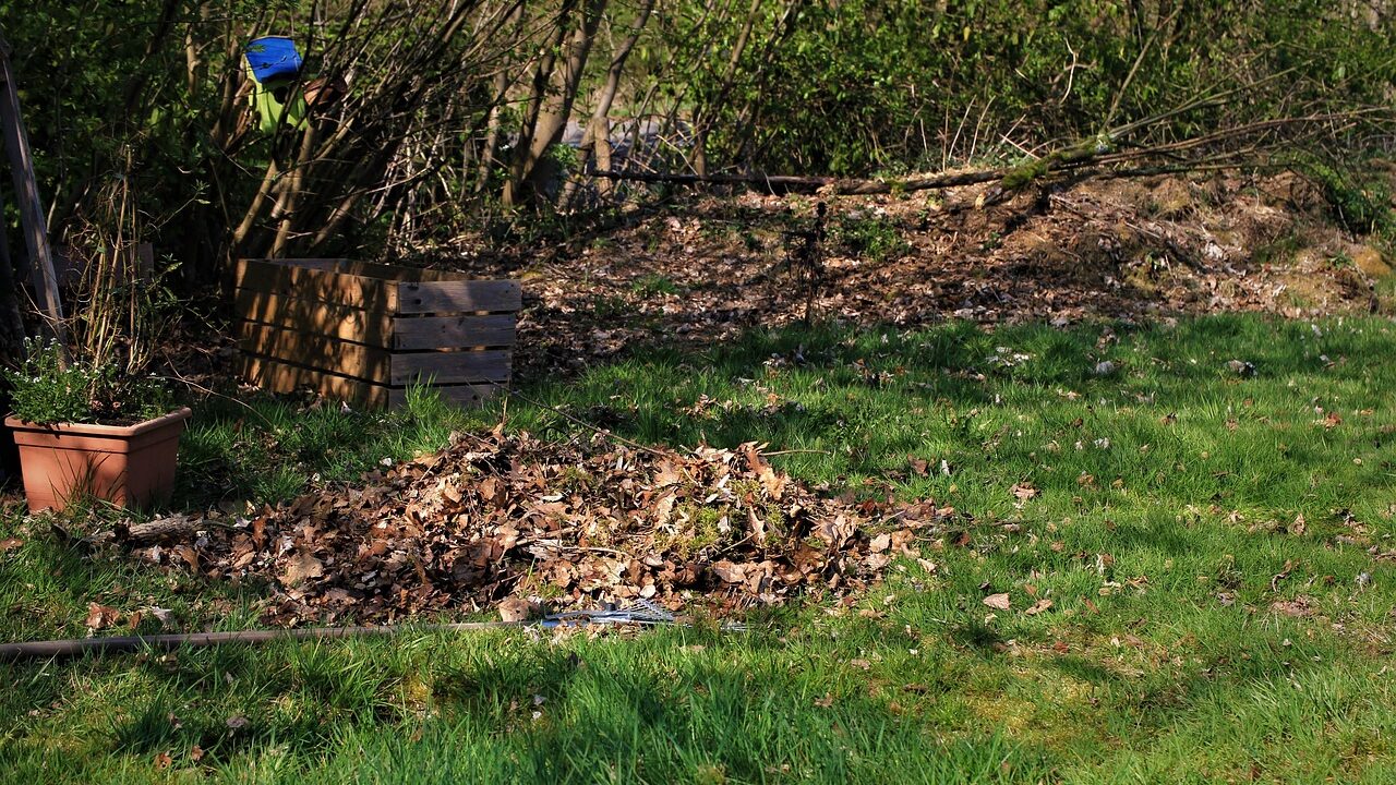 g6ad3a8ea8ba364948c8df05818016740a1e37c81da8abd70a007b1084989a584980b3103289816034d3d186743aeb7a5216934d792a143dc23da3c2c890bf405_1280-5038887 g6ad3a8ea8ba364948c8df05818016740a1e37c81da8abd70a007b1084989a584980b3103289816034d3d186743aeb7a5216934d792a143dc23da3c2c890bf405_1280-5038887.jpg