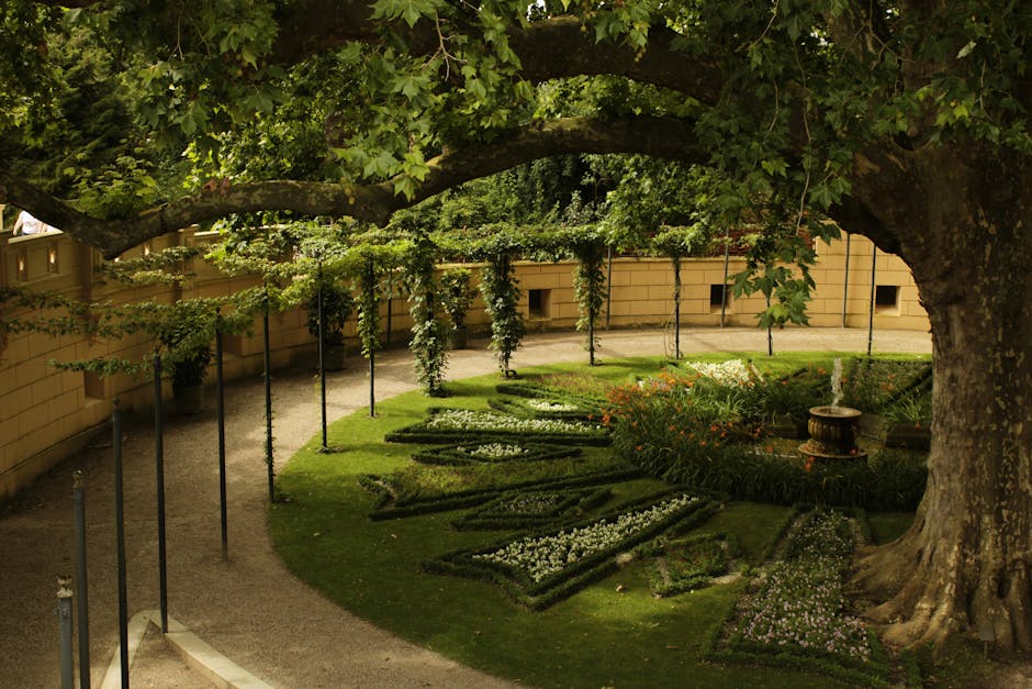 Explore the serene garden under a grand tree in Schwerin, showcasing lush greenery and beautifully arranged flower beds.